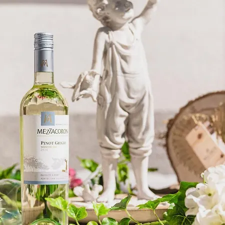 Gasthuis Gaestehaus Waldruh 3*