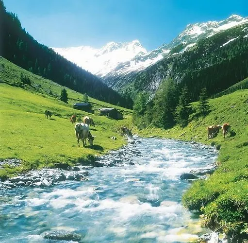 Gaestehaus Waldruh بيت ضيافة