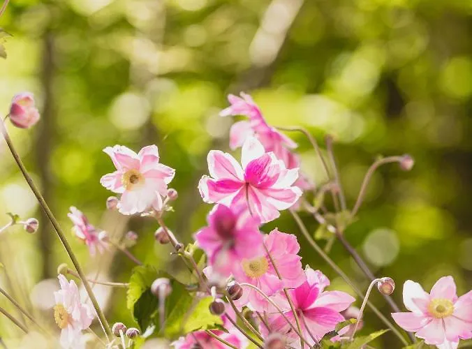 Guest house Gaestehaus Waldruh Gerlos